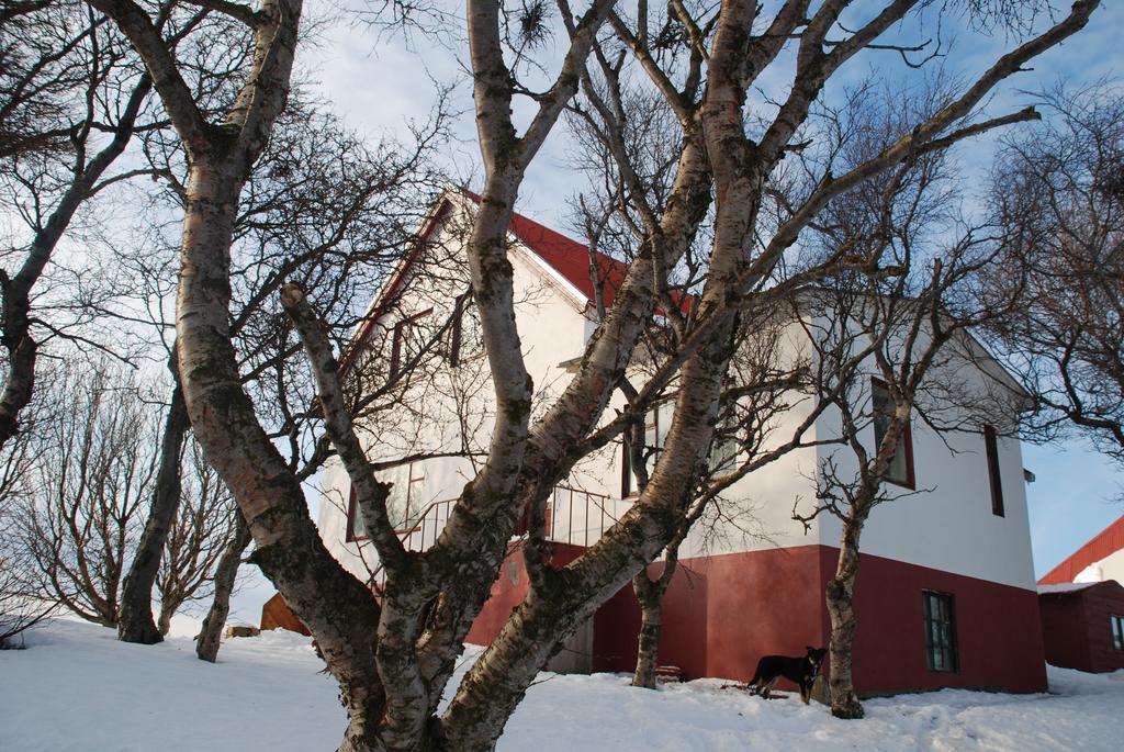 Helluland Guesthouse Saudarkrokur Exterior foto